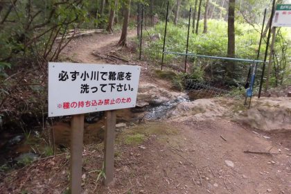 あびき湿原